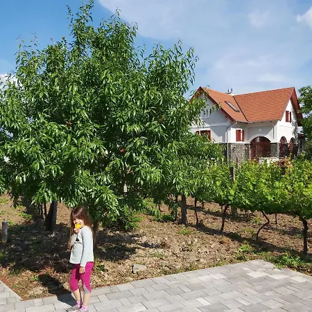 Apartmán Villo Badacsonytomaj