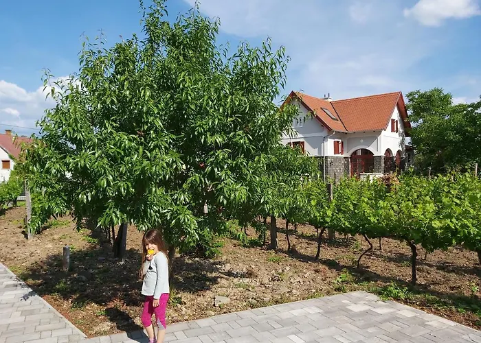 Daire Villo Badacsonytomaj